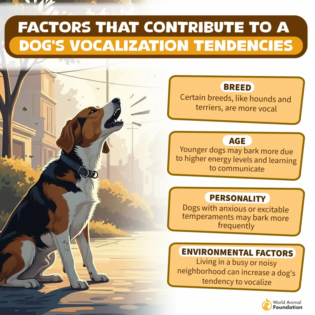 FACTORS THAT CONTRIBUTE TO A DOG_S VOCALIZATION TENDENCIES-06