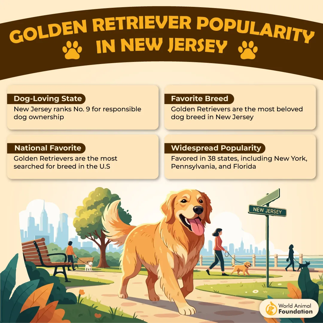 Golden Retriever Popularity in New Jersey-01