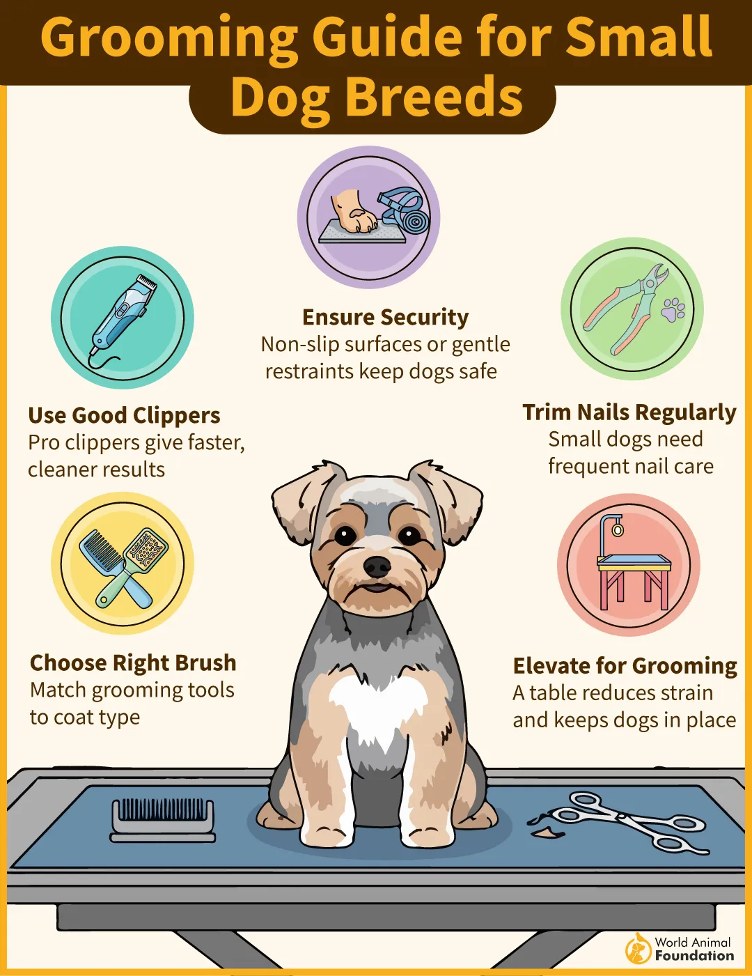 Grooming Guide for Small Dog Breeds-04