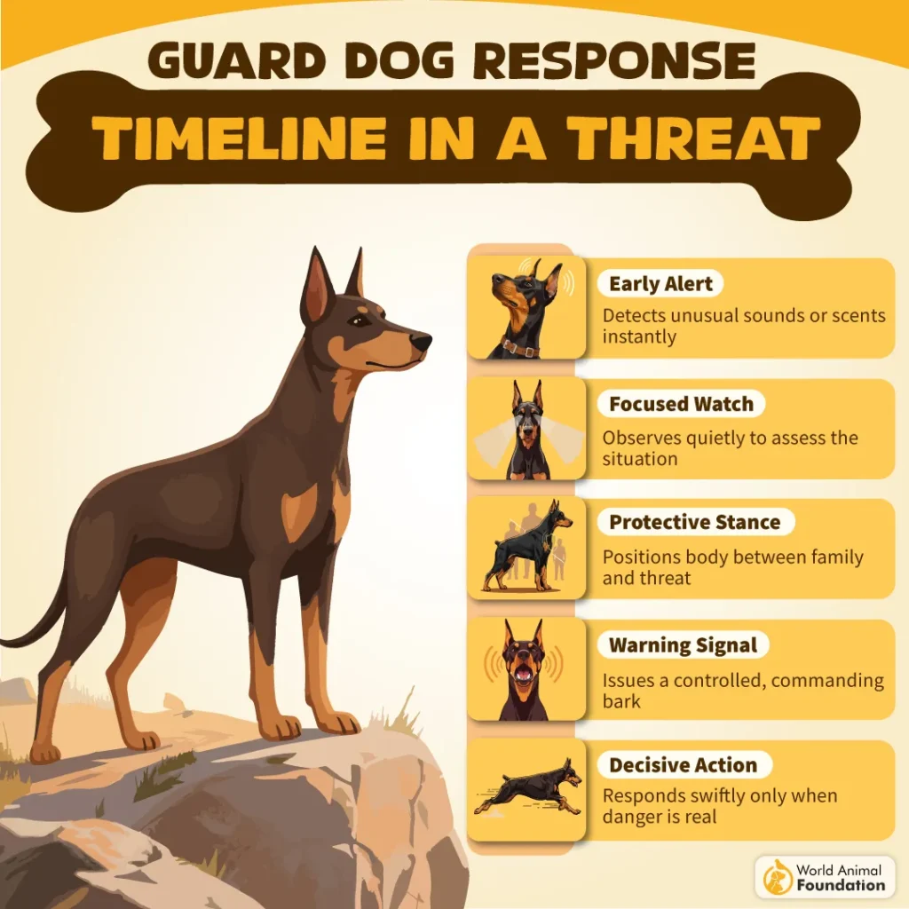 Guard-Dog-Response-Timeline-in-a-Threat-02-1