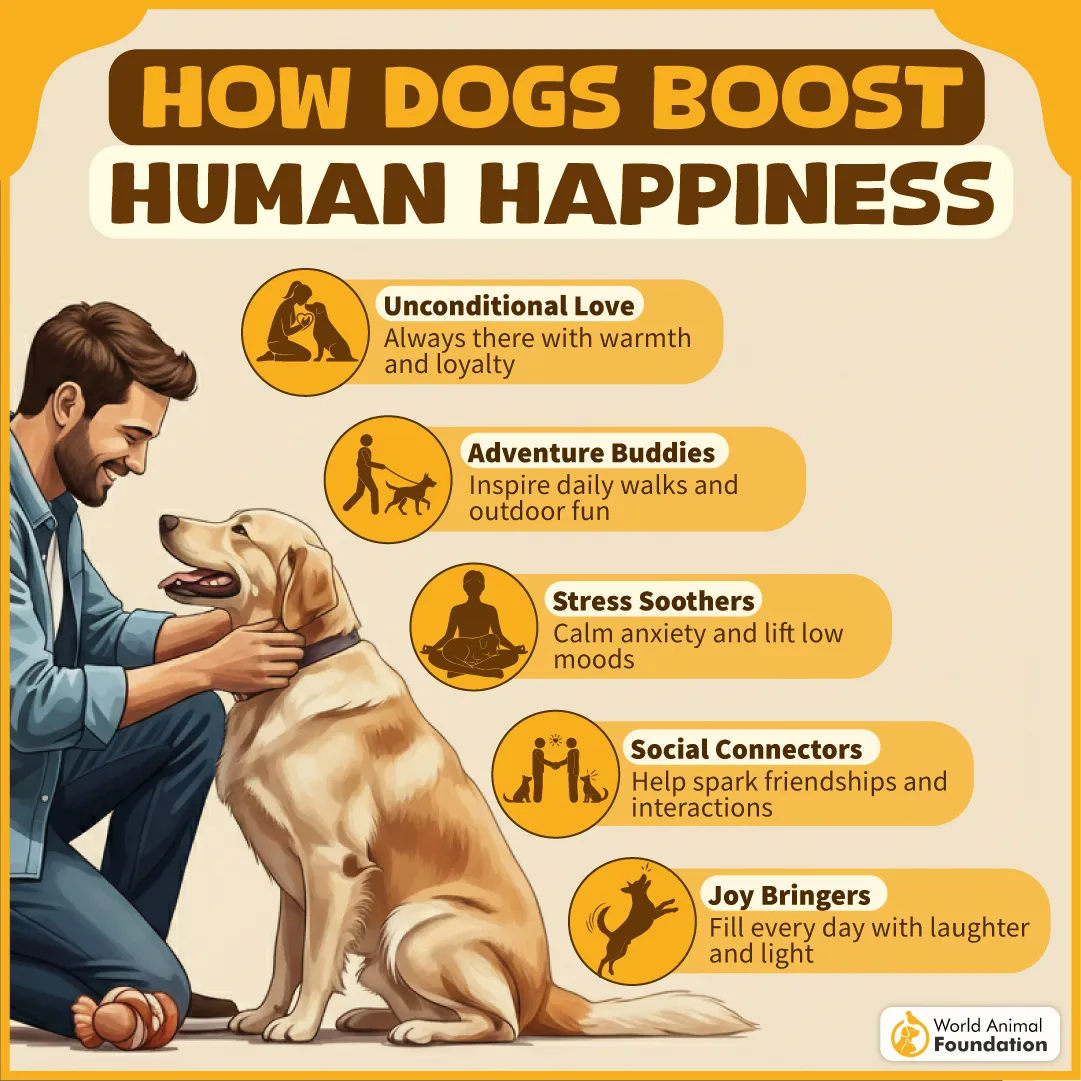 How Dogs Boost Human Happiness-02