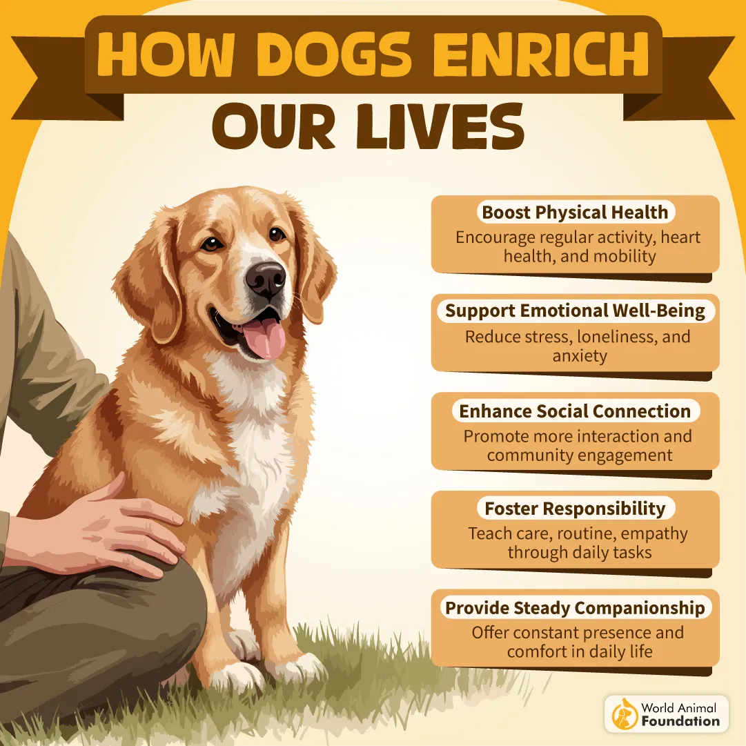 How Dogs Enrich Our Lives-05