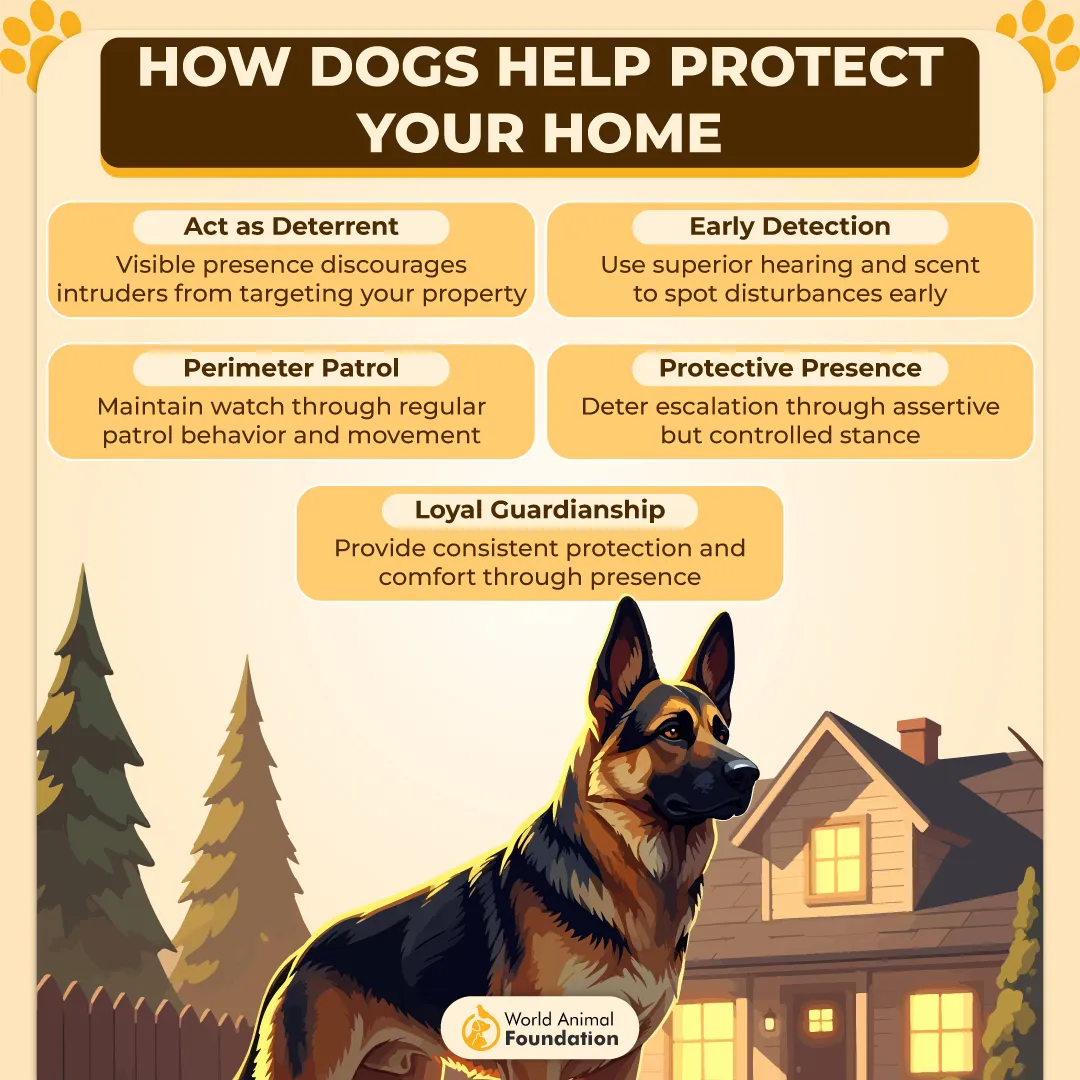 How Dogs Help Protect Your Home-01