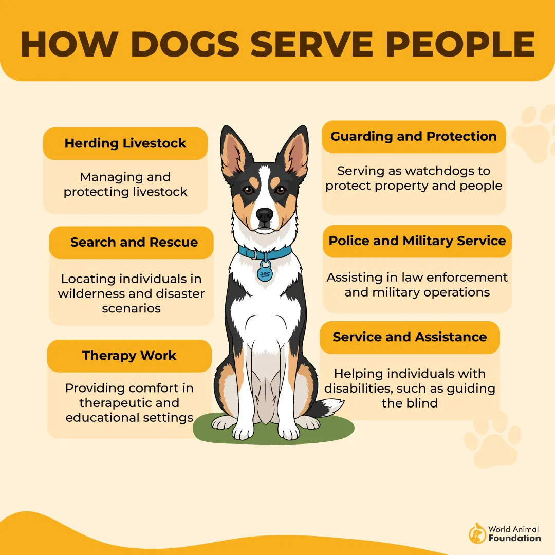 How Dogs Serve People-01