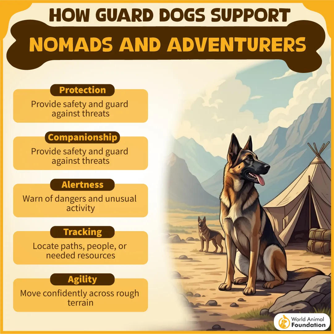 How Guard Dogs Support Nomads and Adventurers-02