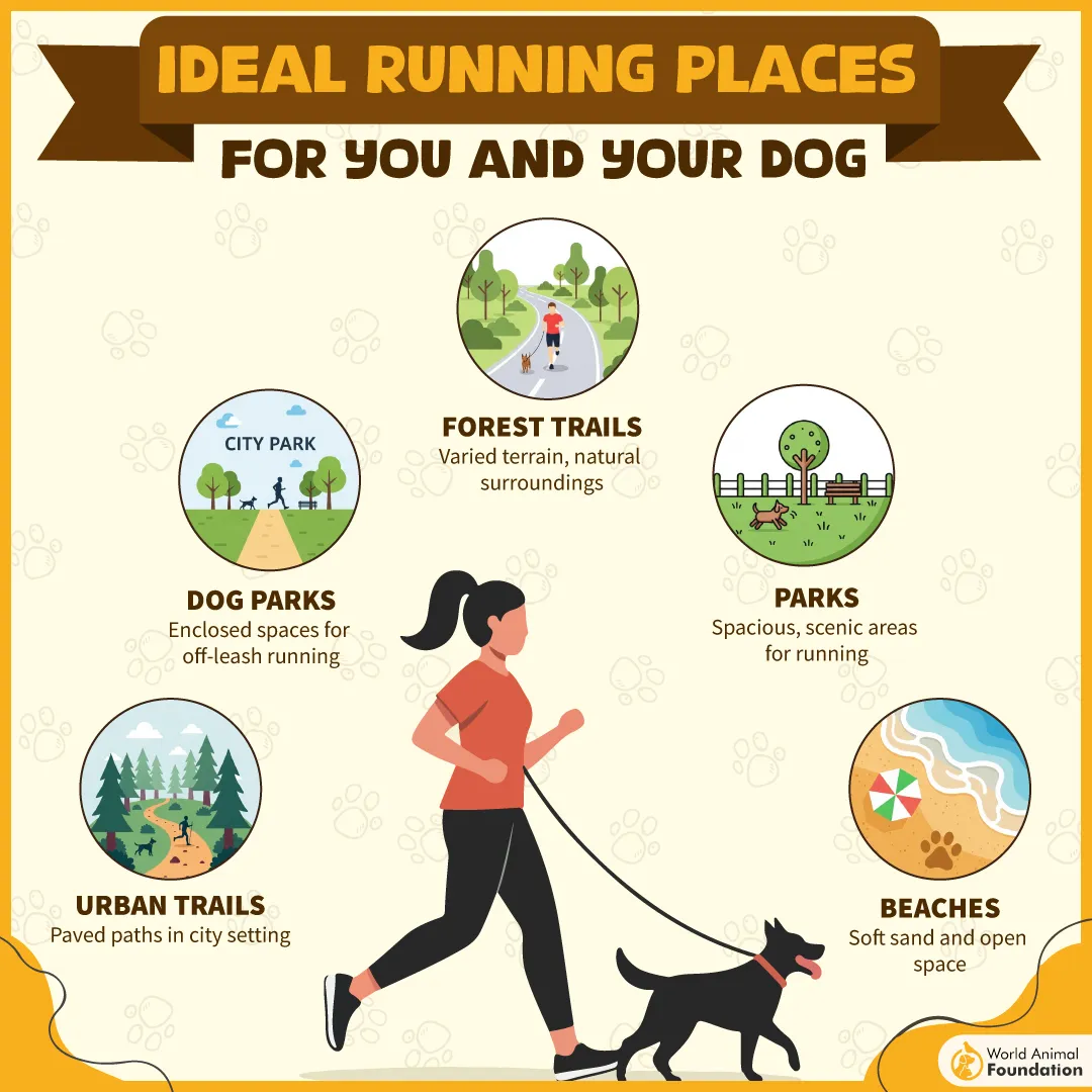 IDEAL RUNNING PLACES FOR YOU AND YOUR DOG-01