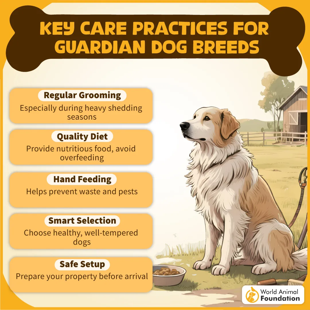 KEY CARE PRACTICES FOR GUARDIAN DOG BREEDS