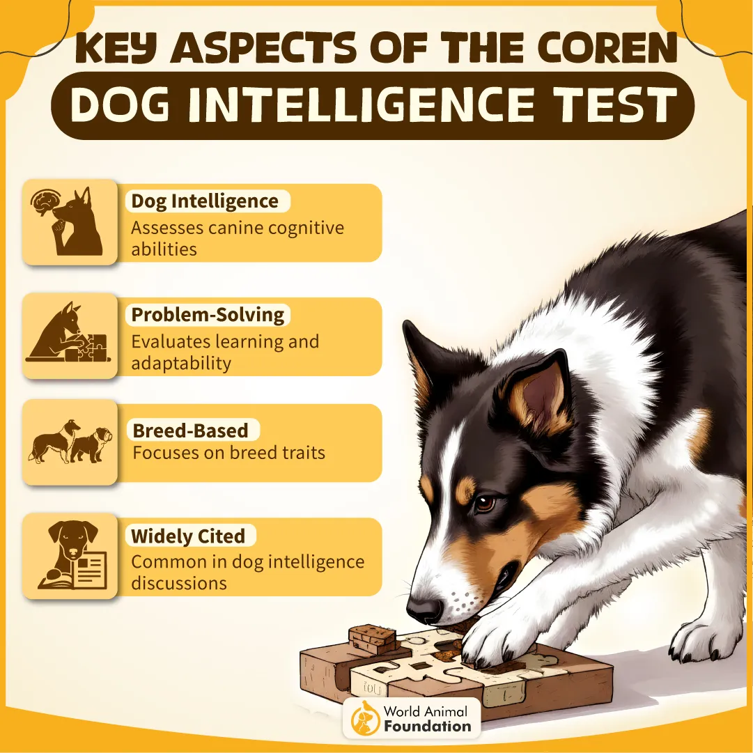 Key Aspects of the Coren Dog Intelligence Test-04