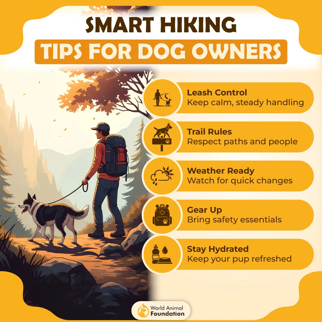 SMART HIKING TIPS FOR DOG OWNERS-01