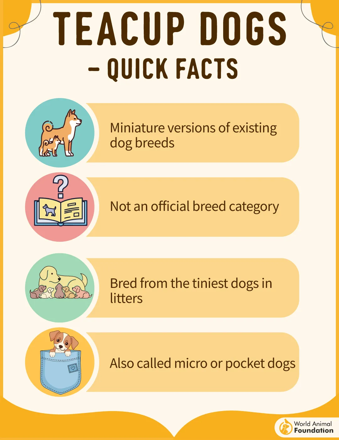 Teacup Dogs Quick Facts-01