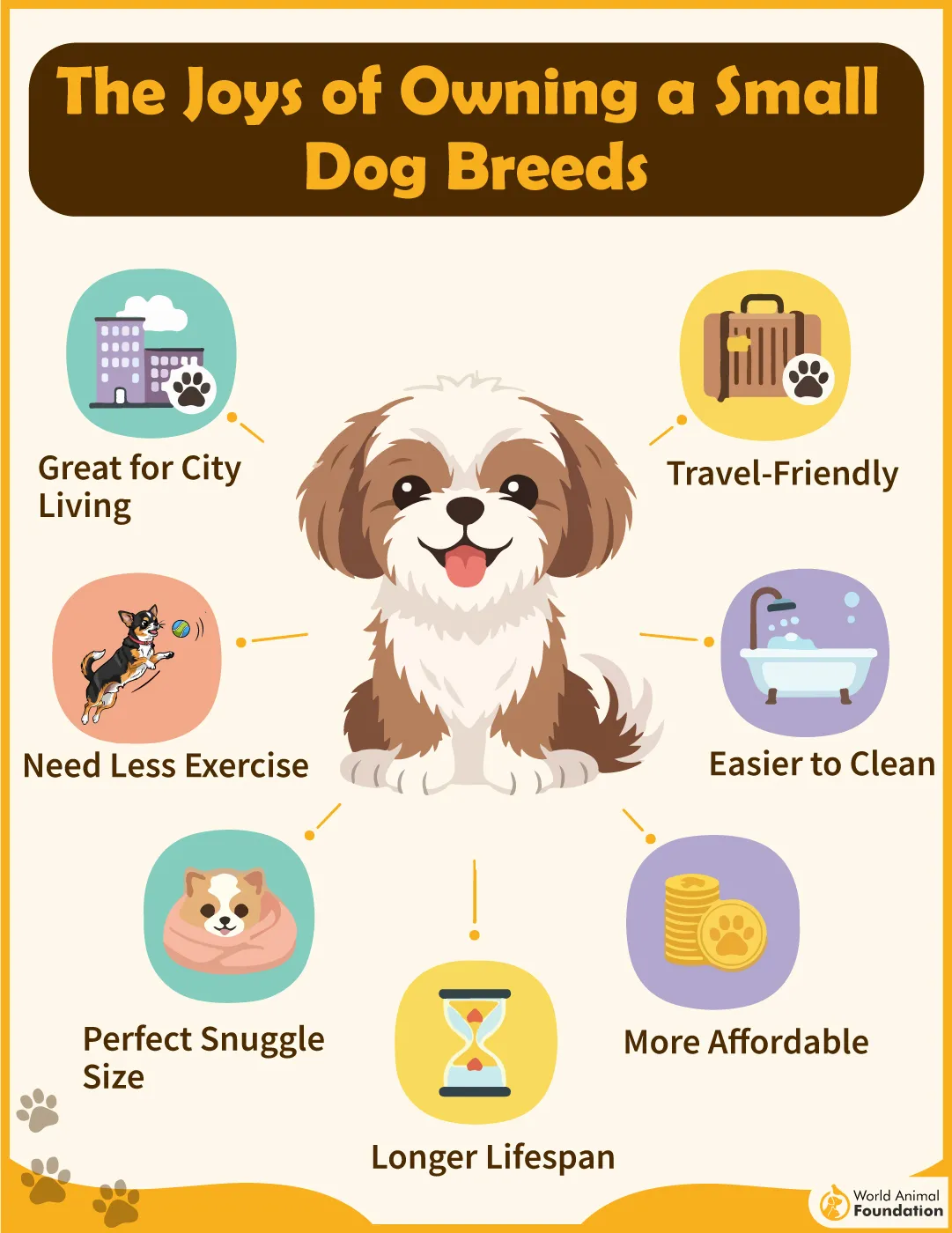 The Joys of Owning a Small Breed Dog-02