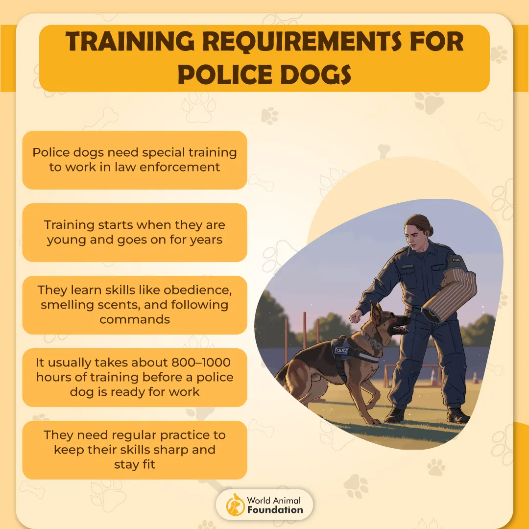 Training Requirements for Police Dogs-01