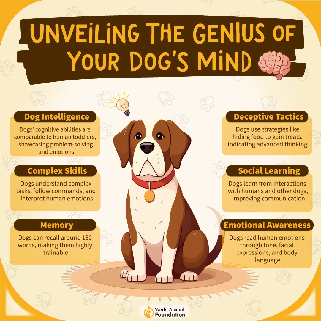 Unveiling the Genius of Your Dog_s Mind-09