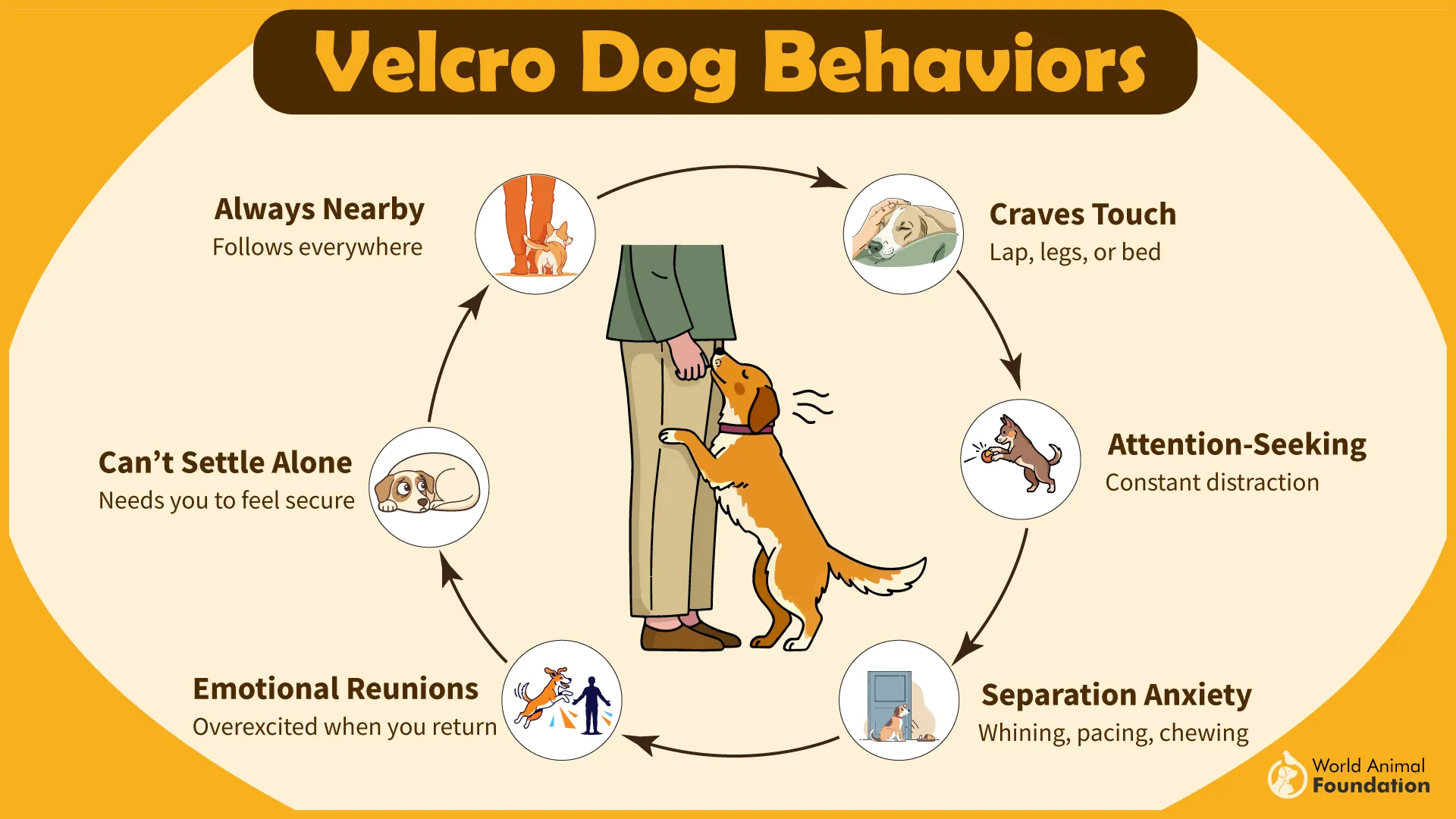 Velcro Dog Behaviors-01