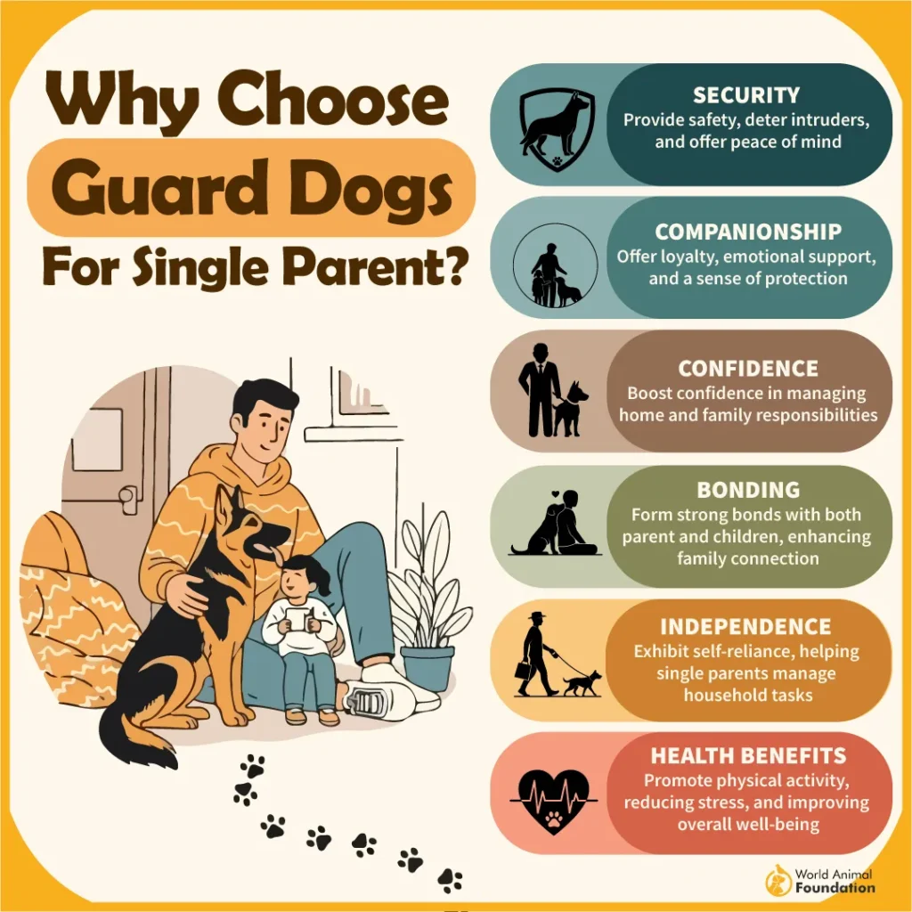 WHY-CHOOSE-GUARD-DOGS-FOR-SINGLE-PARENTS-08