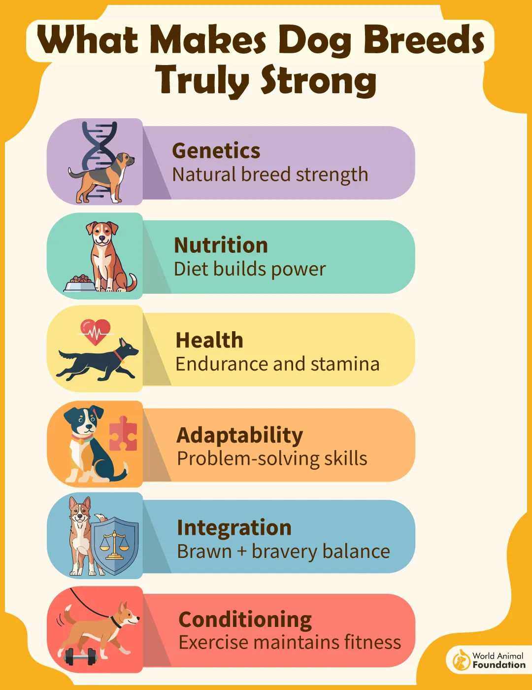 What Makes Dog Breeds Truly Strong-01