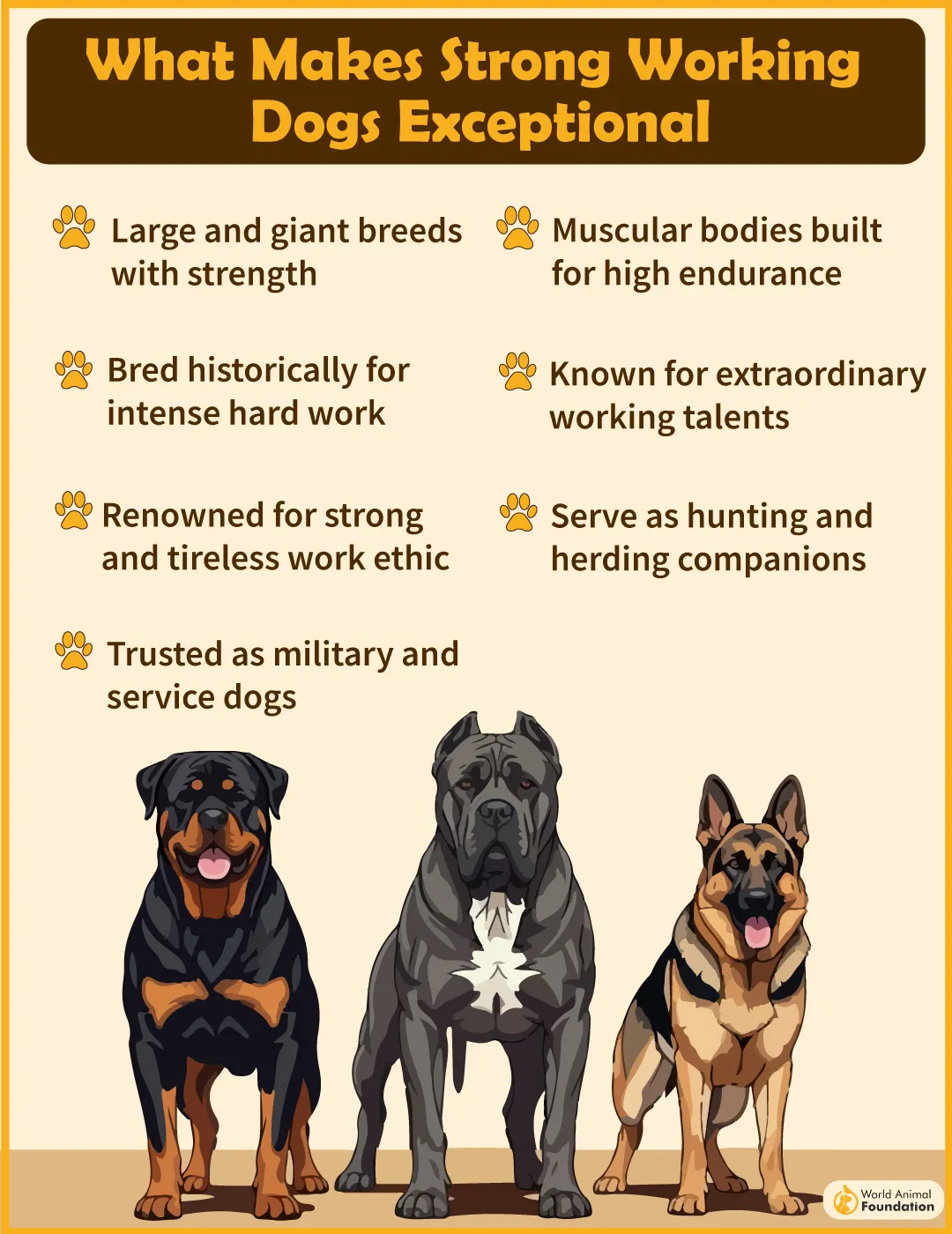 What Makes Strong Working Dogs Exceptional-01