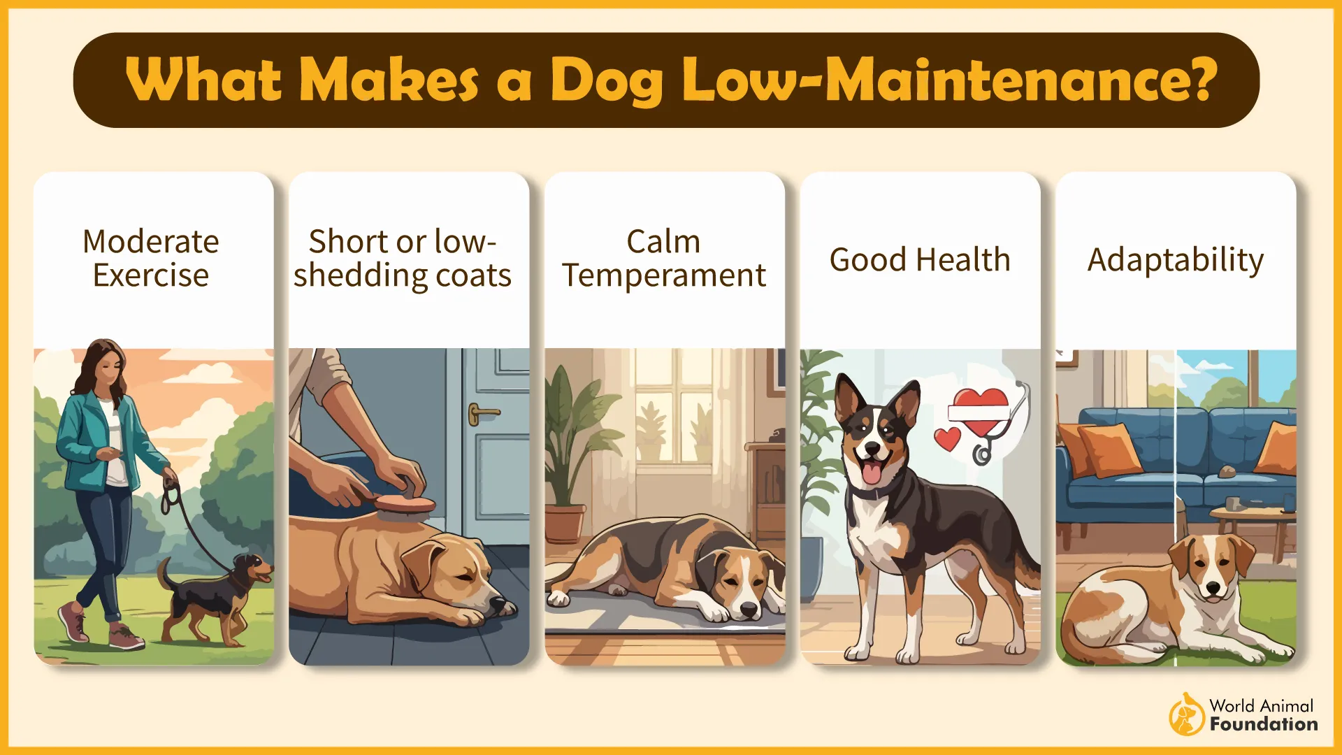 What Makes a Dog Low-Maintenance-01
