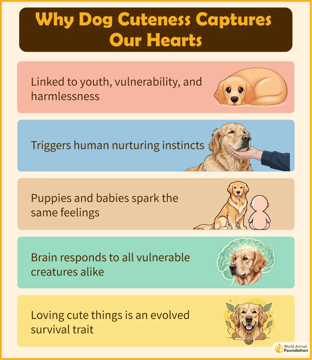 Why Dog Cuteness Captures Our Hearts-02
