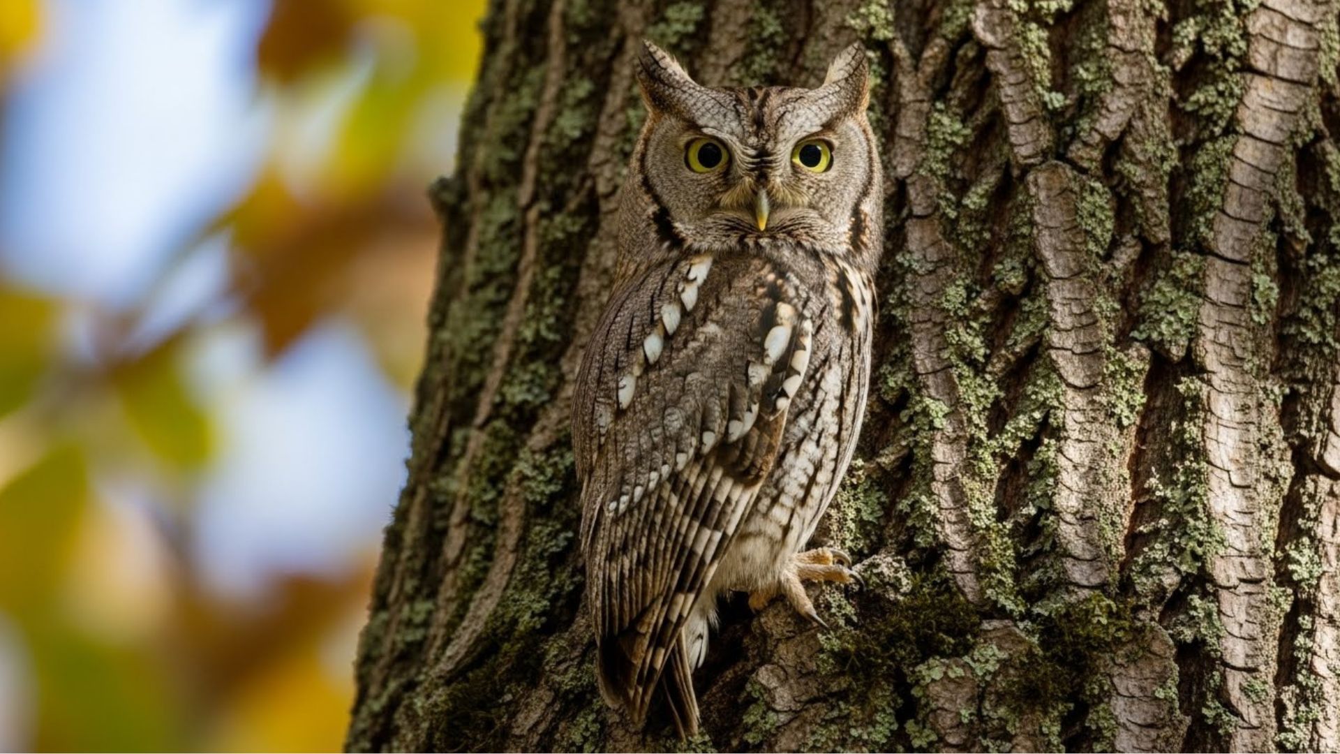 7 Birds That Are Masters of Camouflage