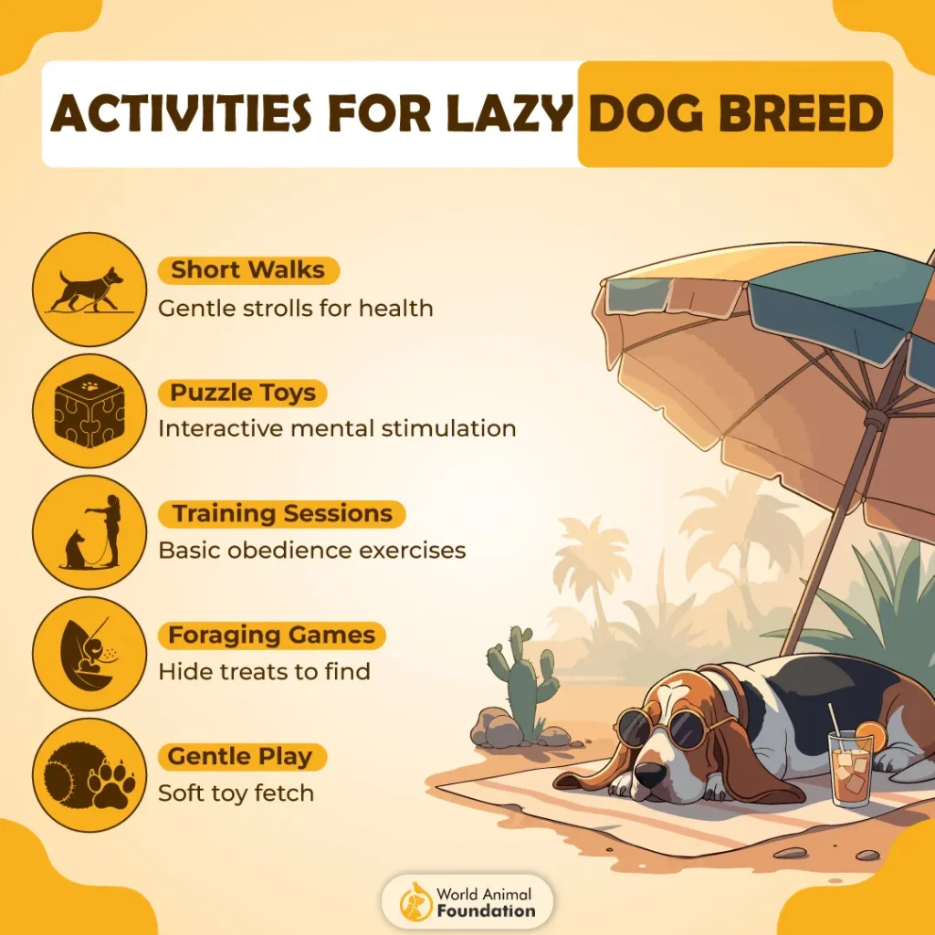 ACTIVITIES-FOR-LAZY-BREEDS-01