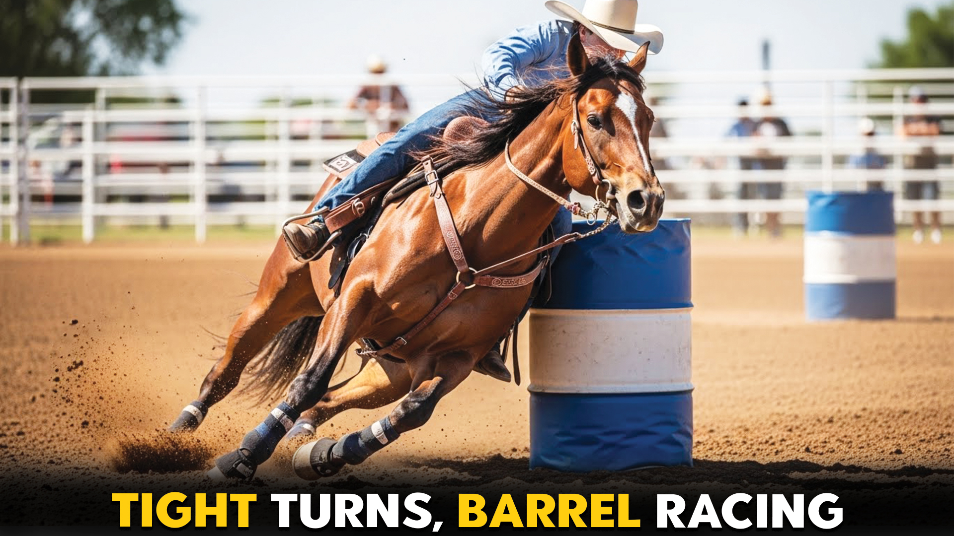 10 Horses That Excel at Barrel Racing