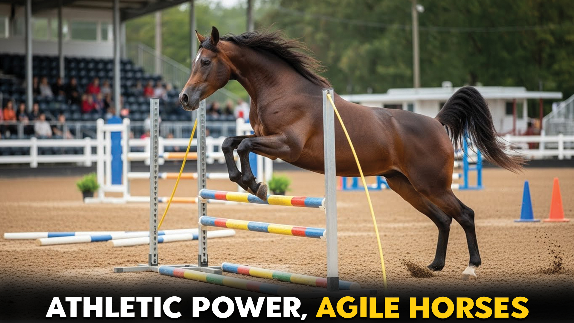 9 Most Agile Horse Breeds