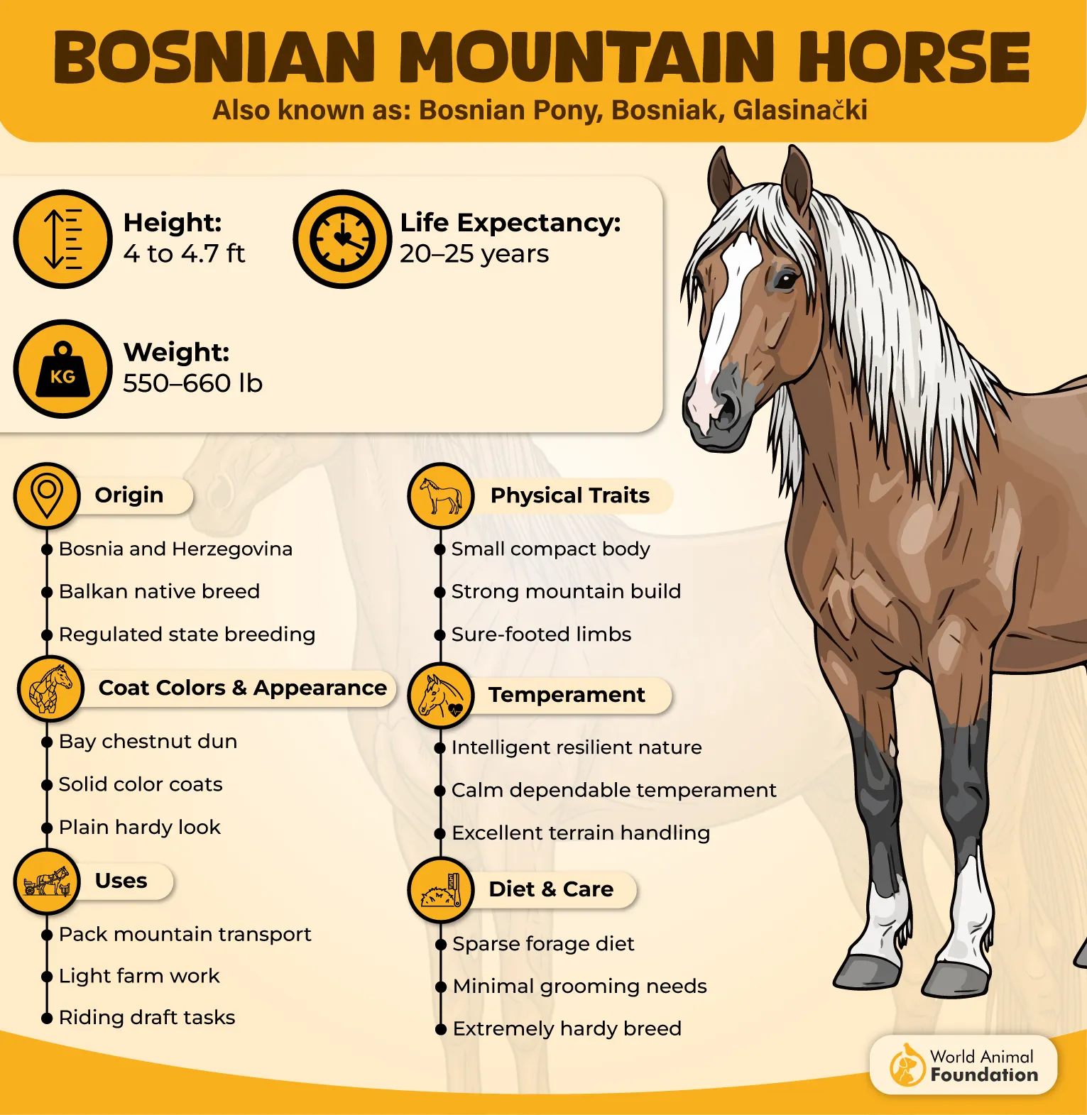 Bosnian Mountain Horse