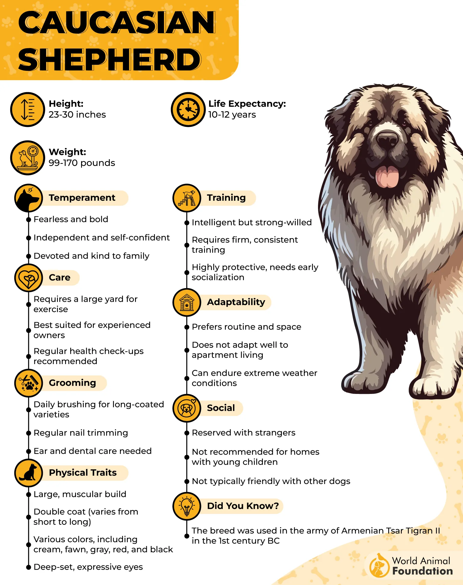 caucasian shepherd-breed