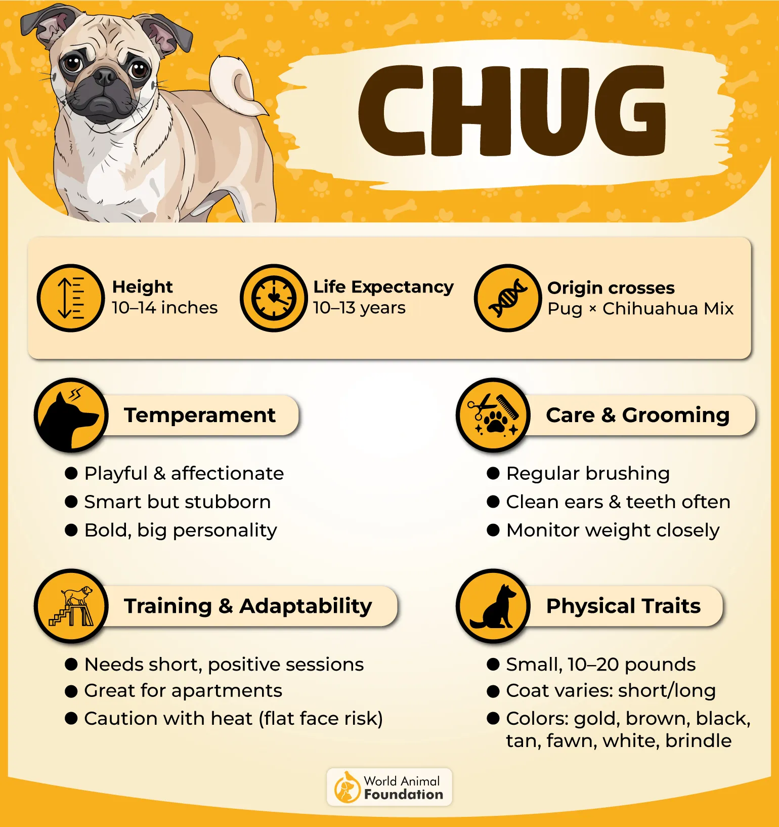 Chug Profile