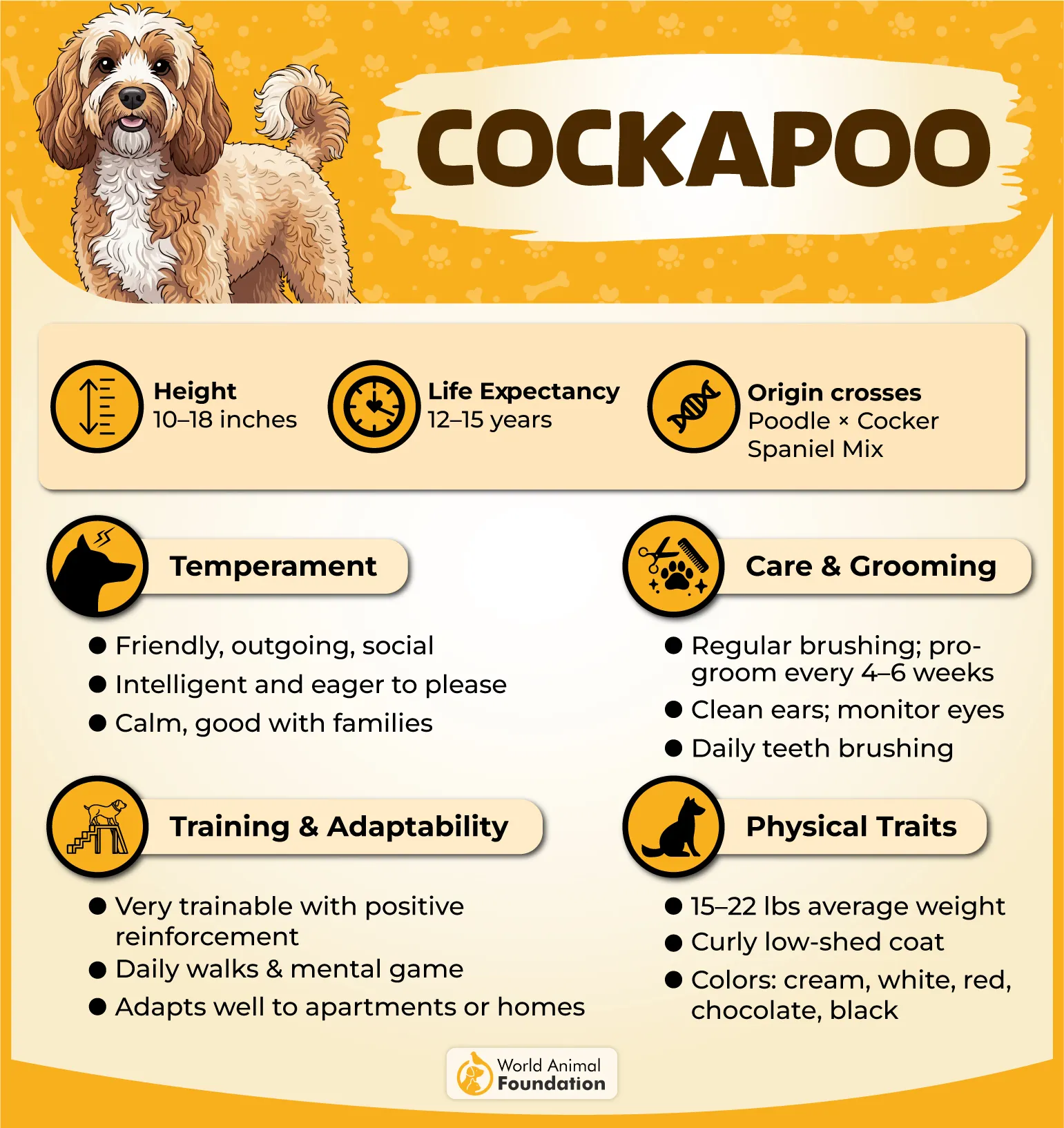 Cockapoo Profile