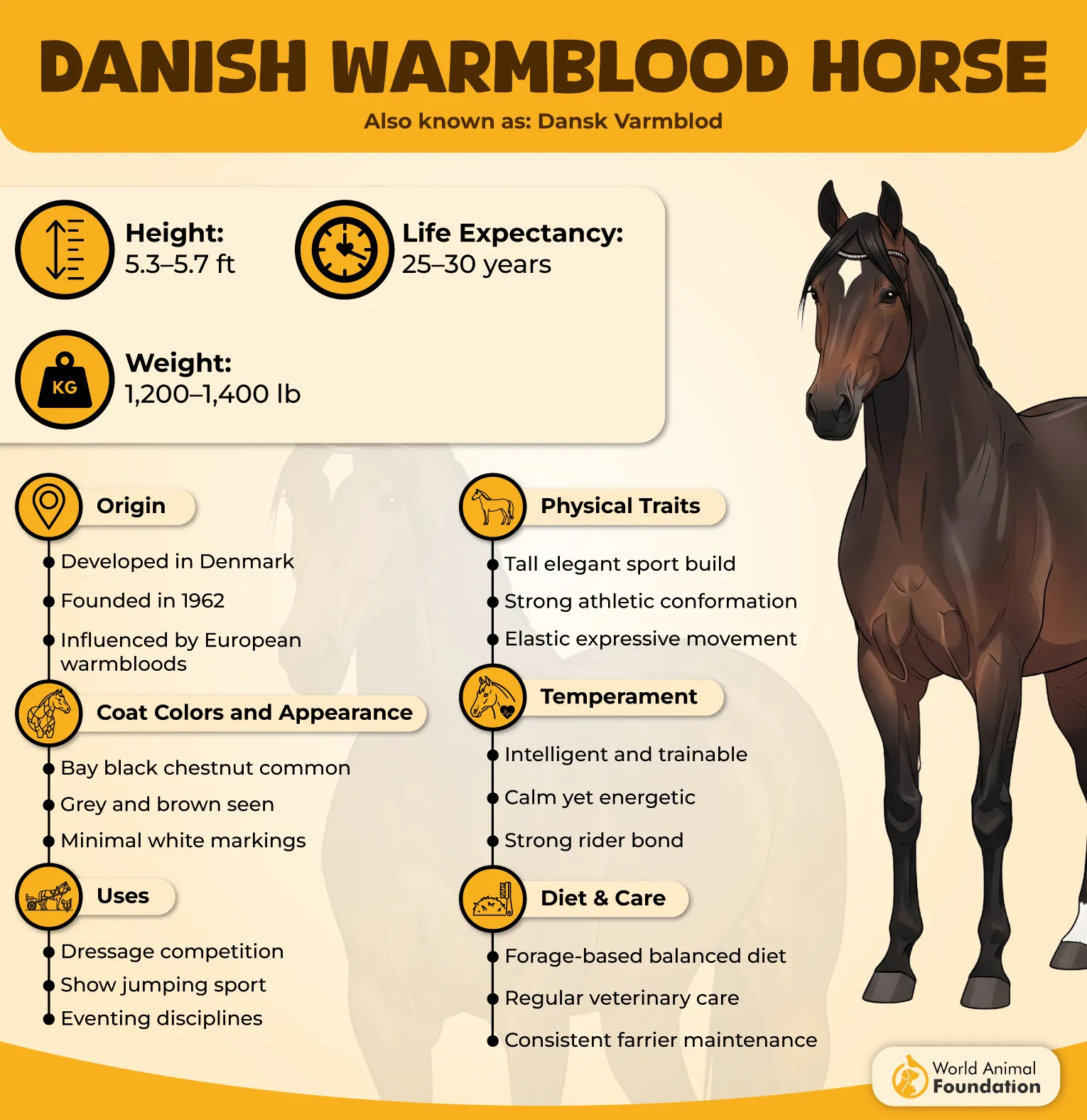 Danish Warmblood