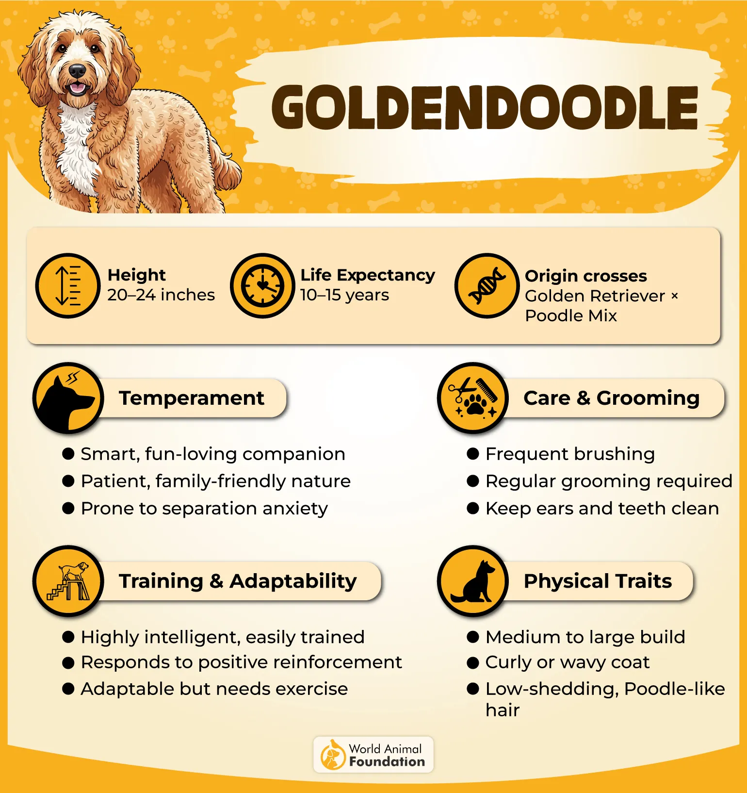 Goldendoodle Profile