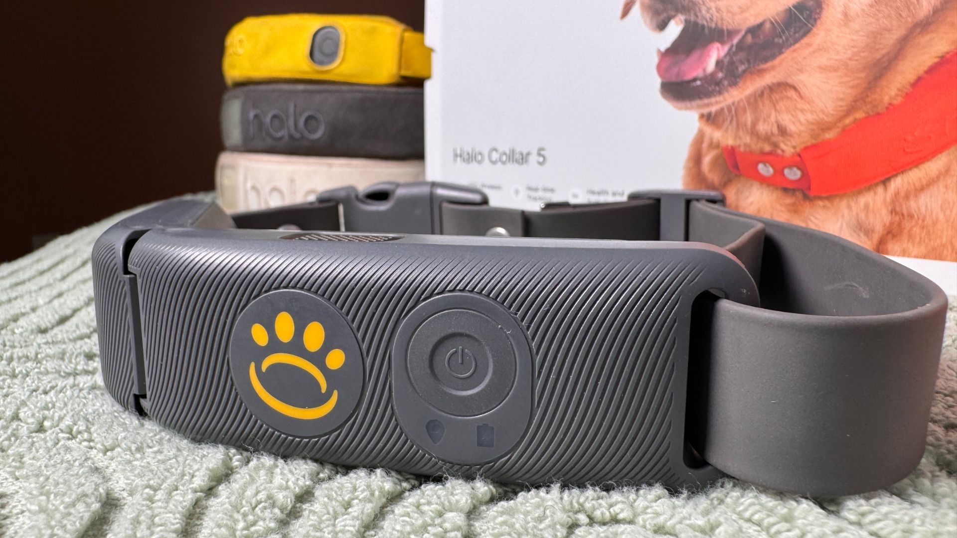 Halo Collar 5 Review