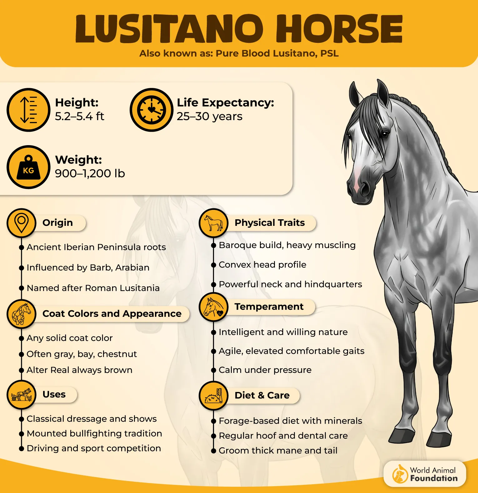 Lusitano
