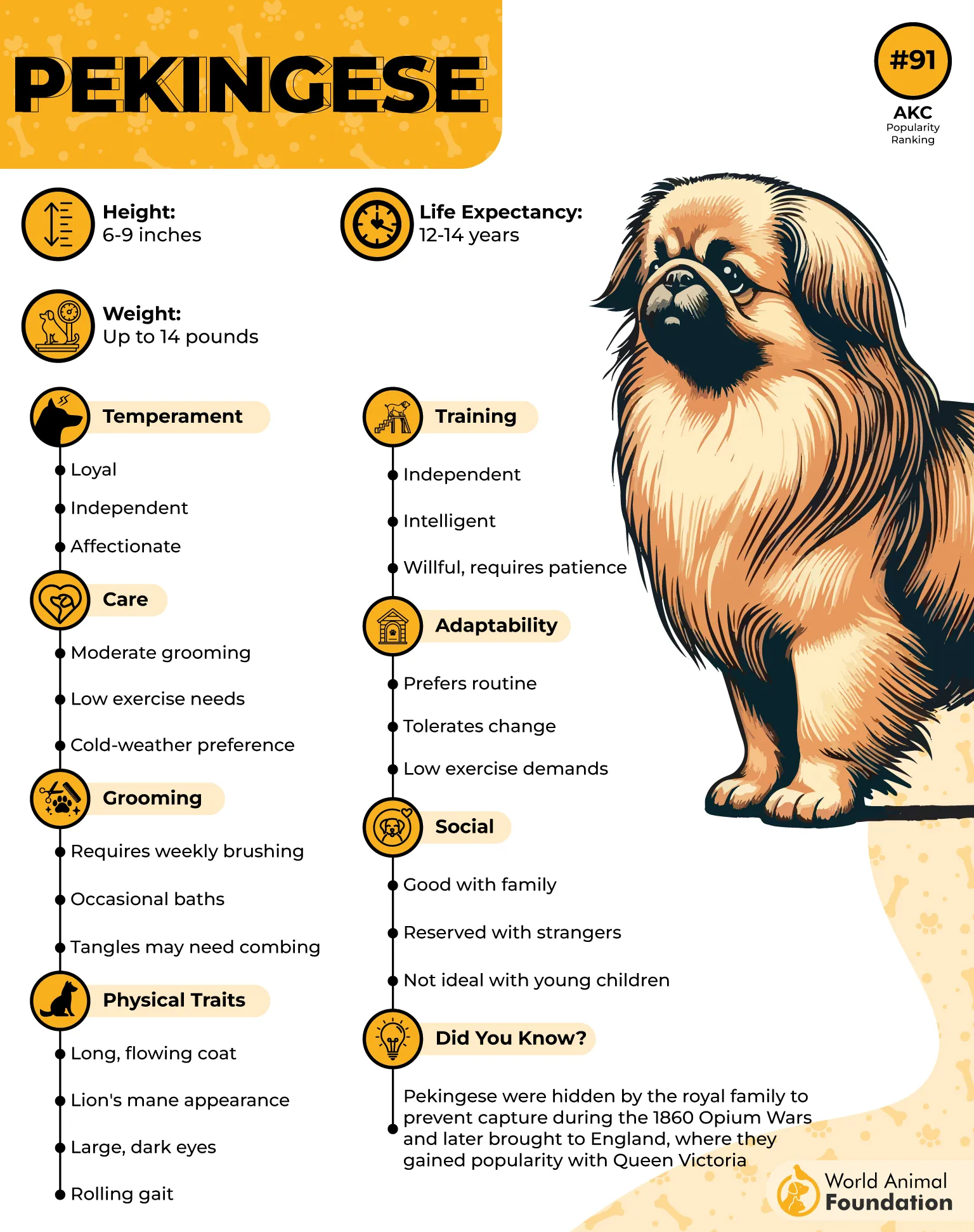 Pekingese