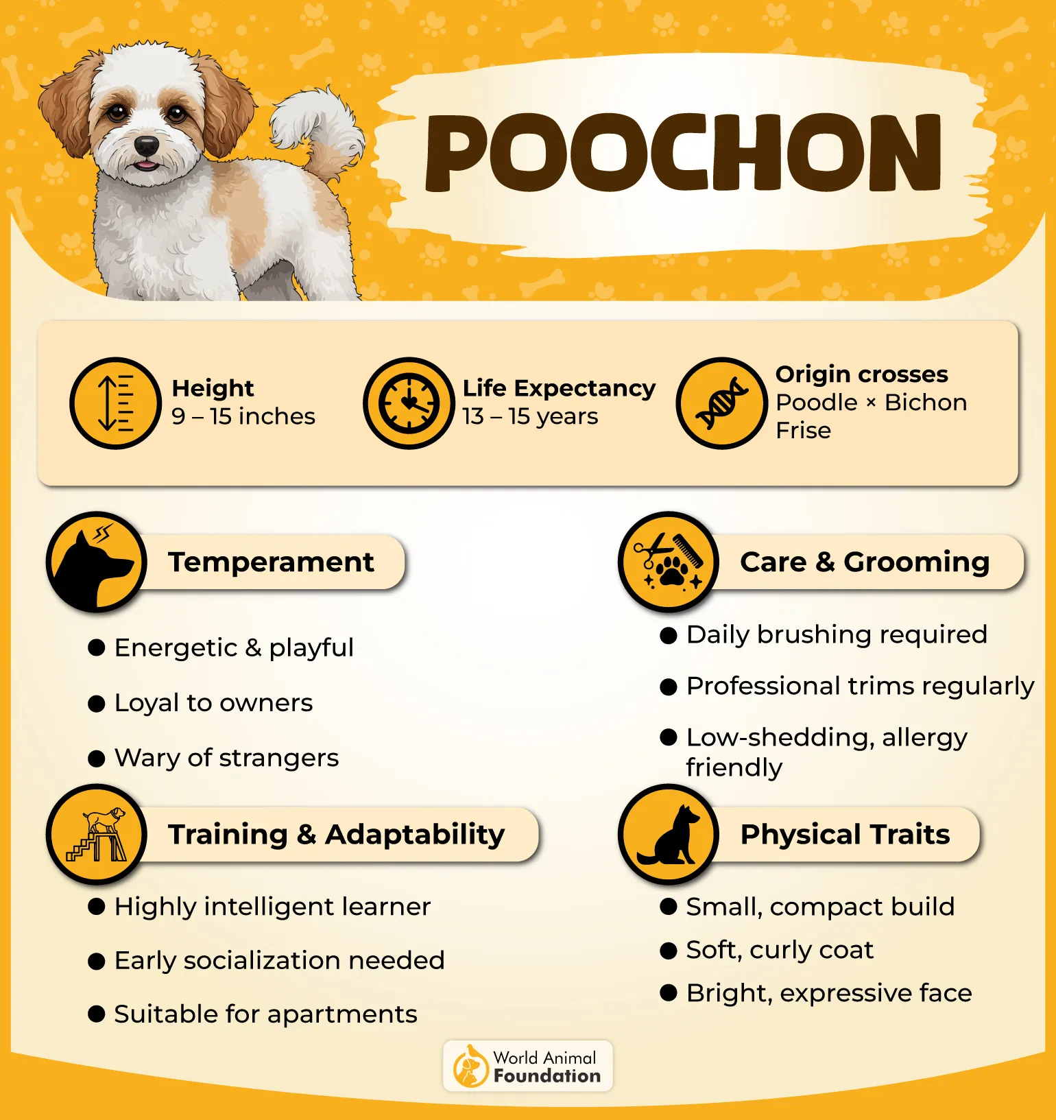 Poochon Profile