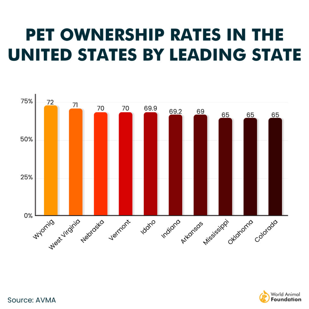  total pet cats and dogs many pet owners