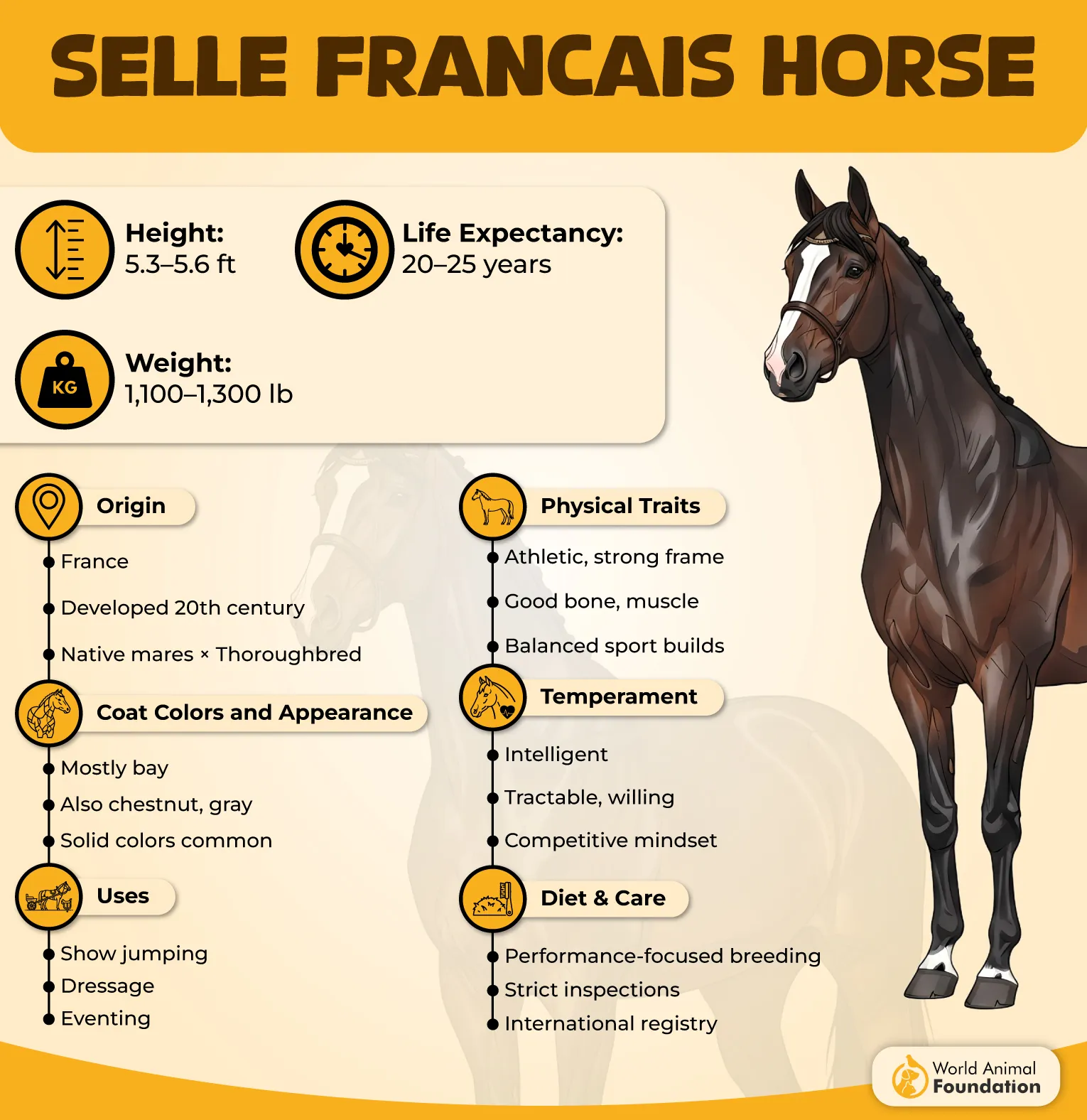Selle Français