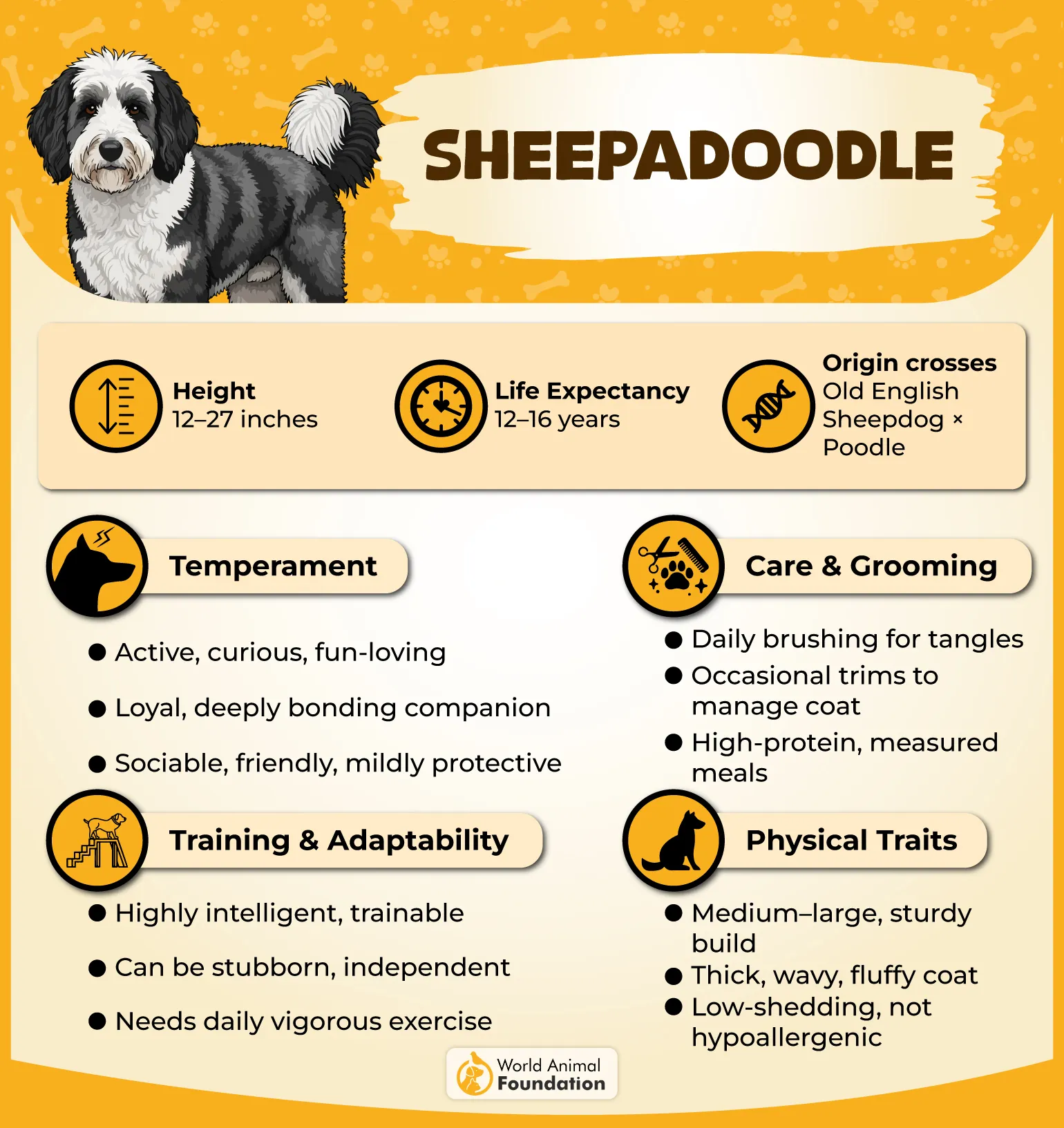 Sheepadoodle Profile