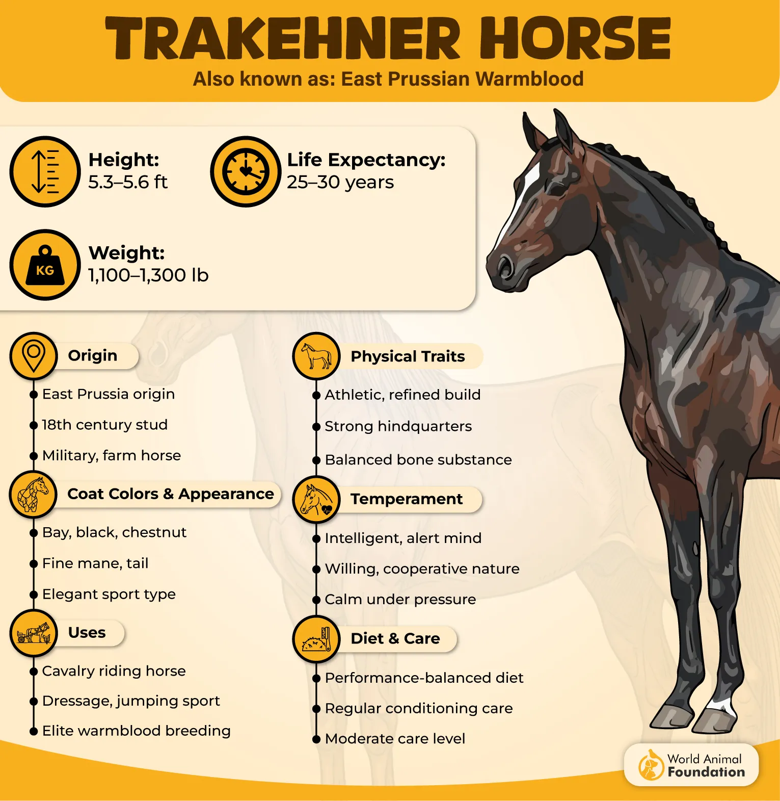 Trakehner Profile