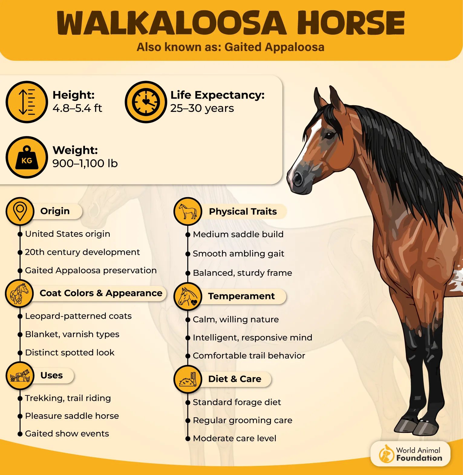 Walkaloosa