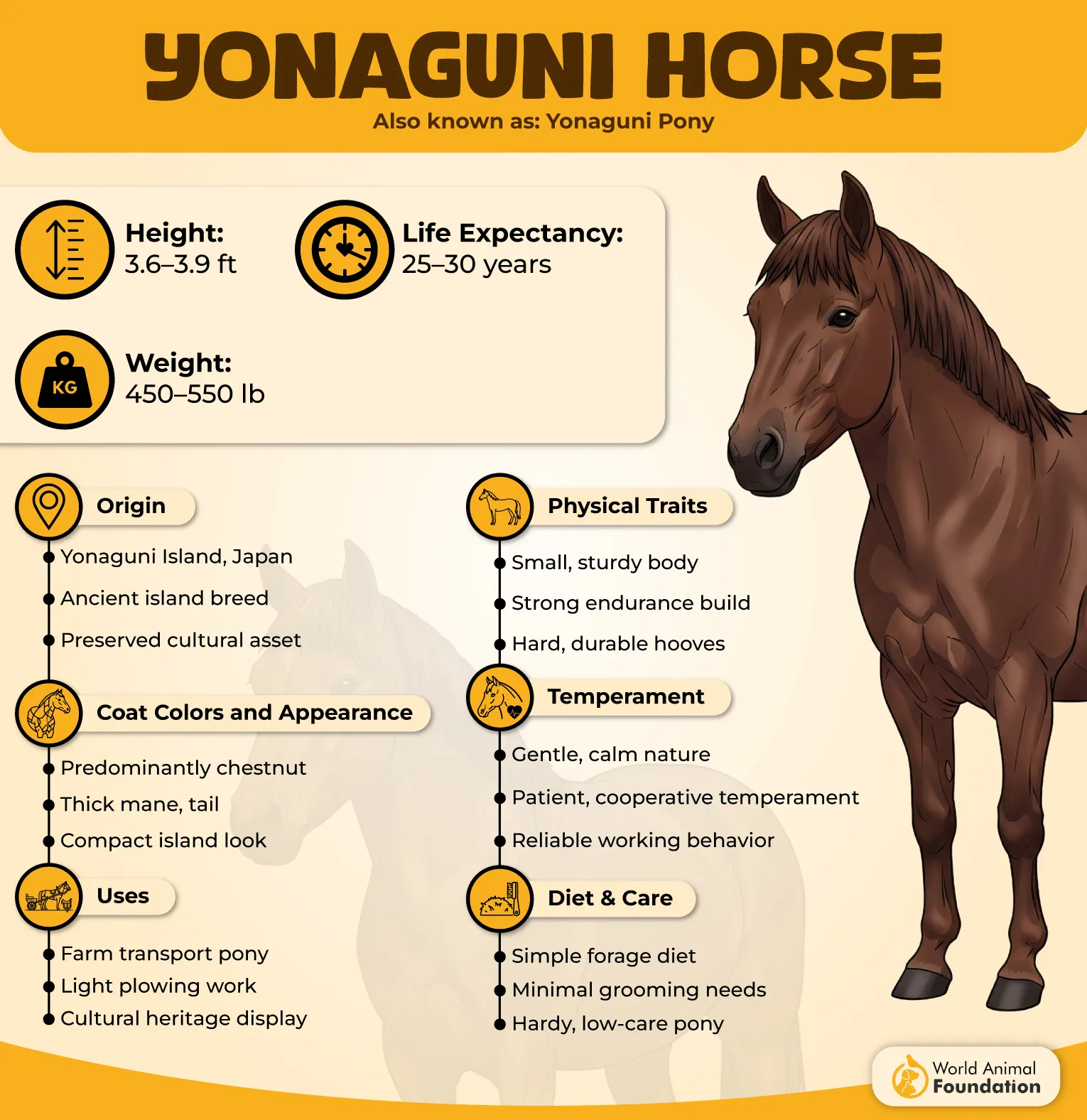 Yonaguni Horse Profile