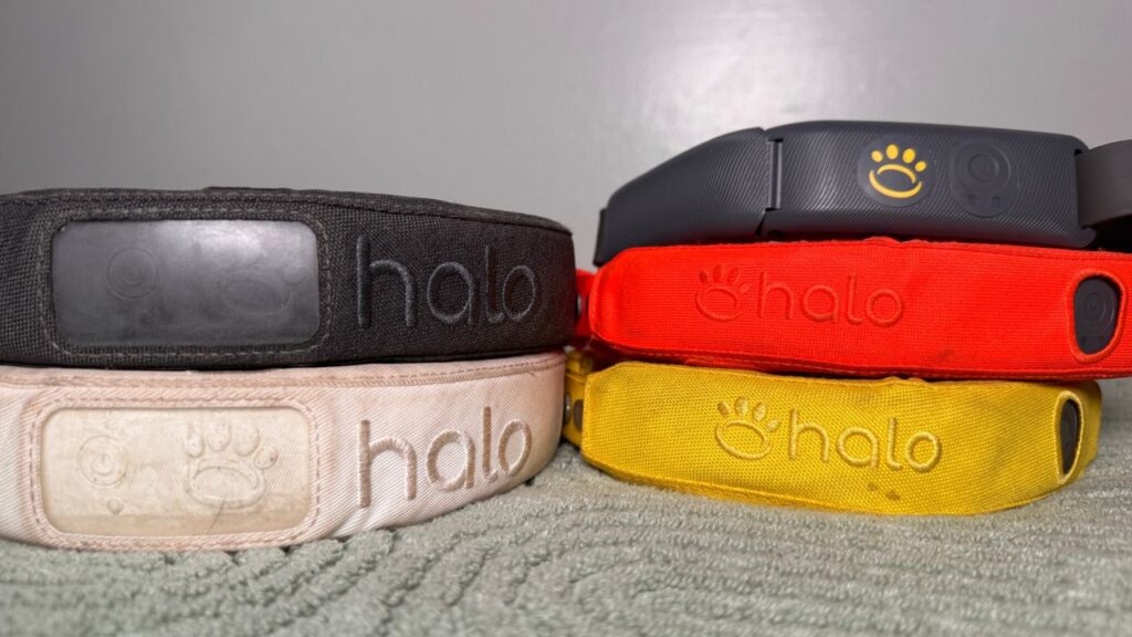 halo collar reviews