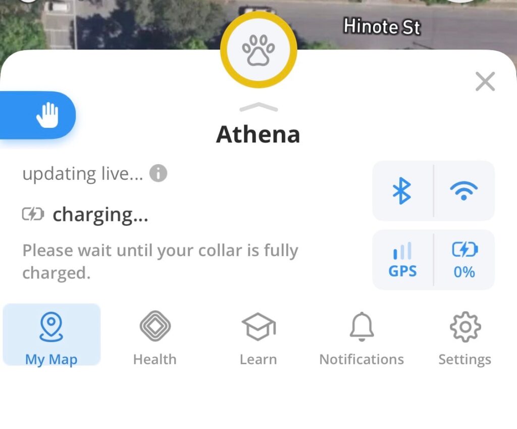 halo smart collar reviews