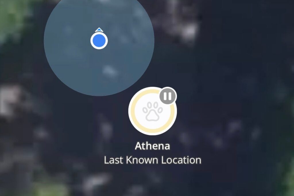 halo gps real time tracking