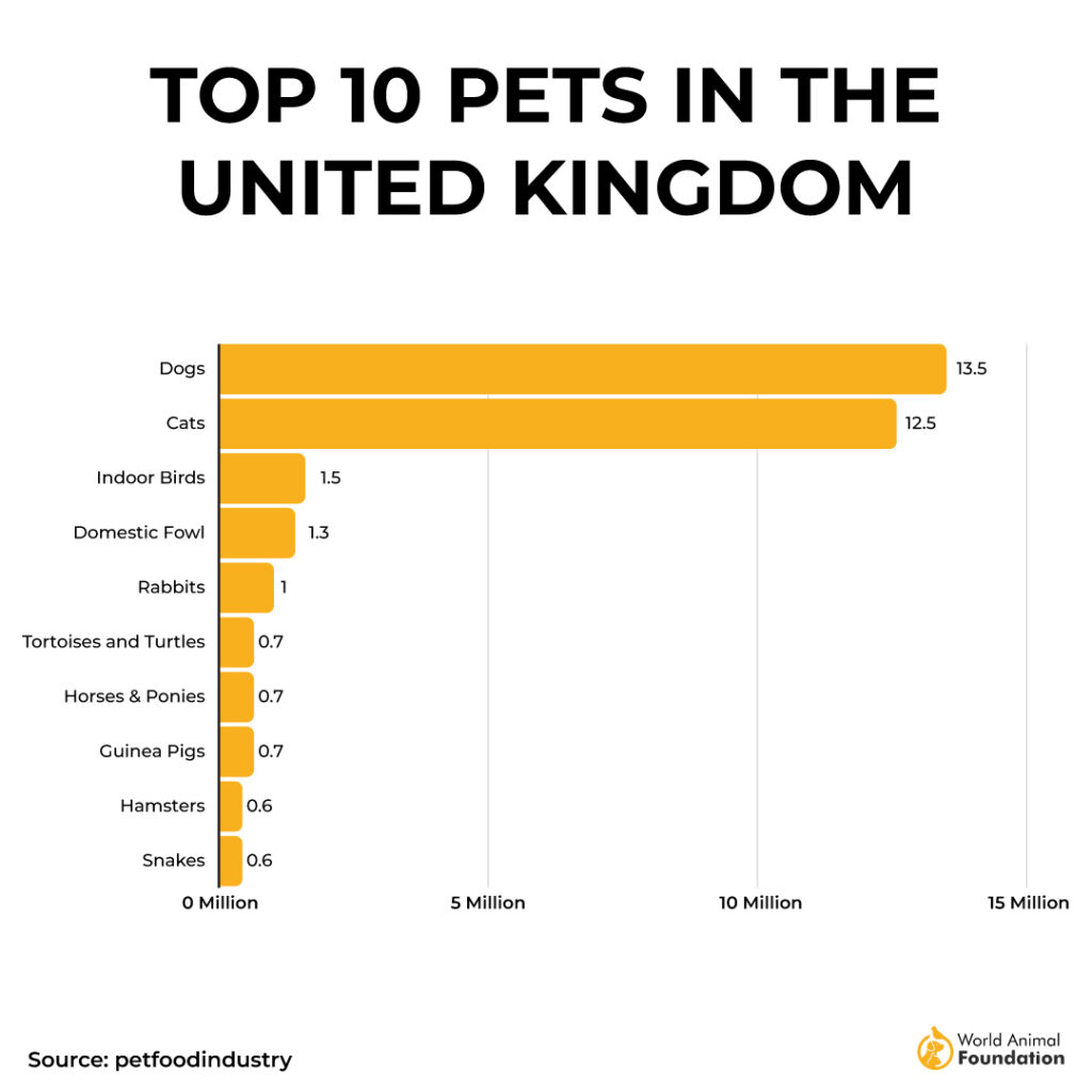 How Many Dogs Are In The UK