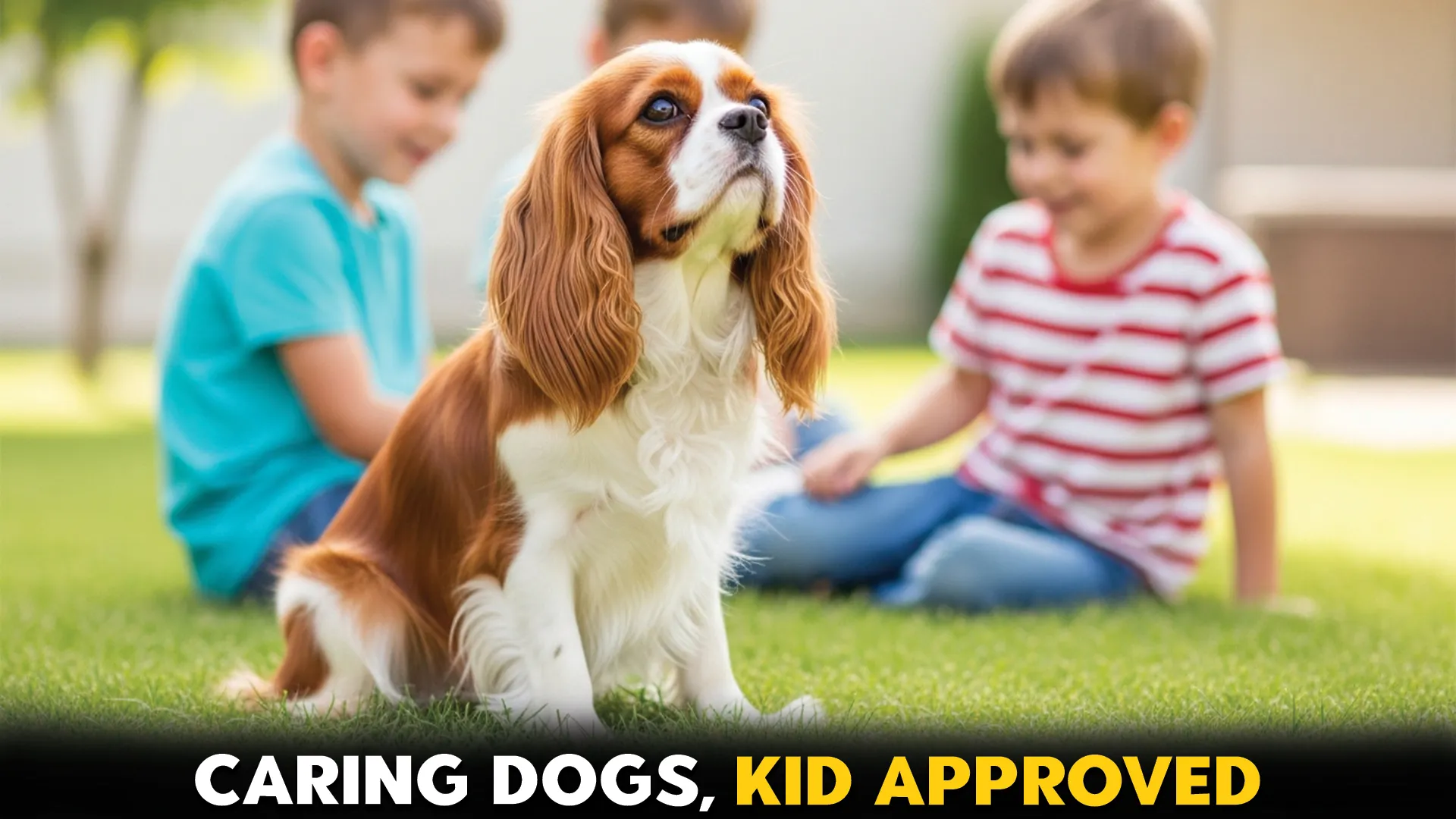 7-Caring-Dog-Breeds-That-Are-Wonderful-For-Children