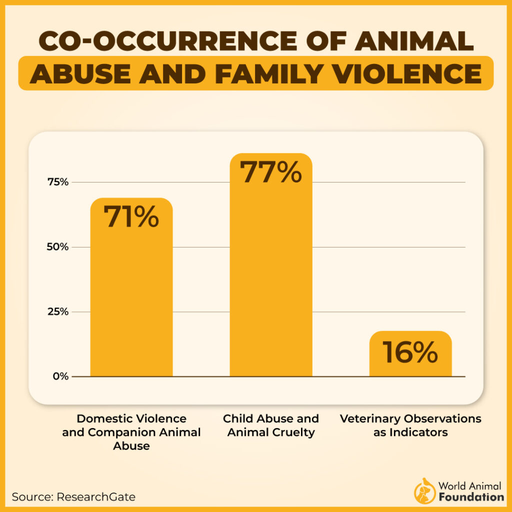 Co-Occurrence of Animal Abuse and Family Violence
