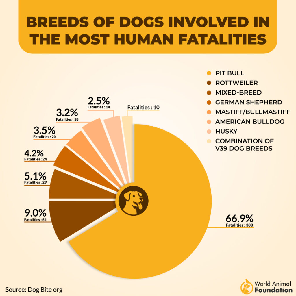 dog breeds involved i n the most human fatalities
